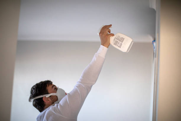 Water Damage Restoration in Mulberry, FL